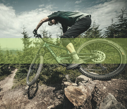 Kategorie E-Mountainbikes Kategorie E-Mountainbikes