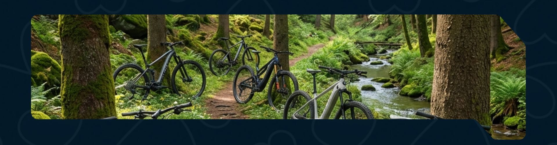 LIEBE AUF ZWEI RÄDERN