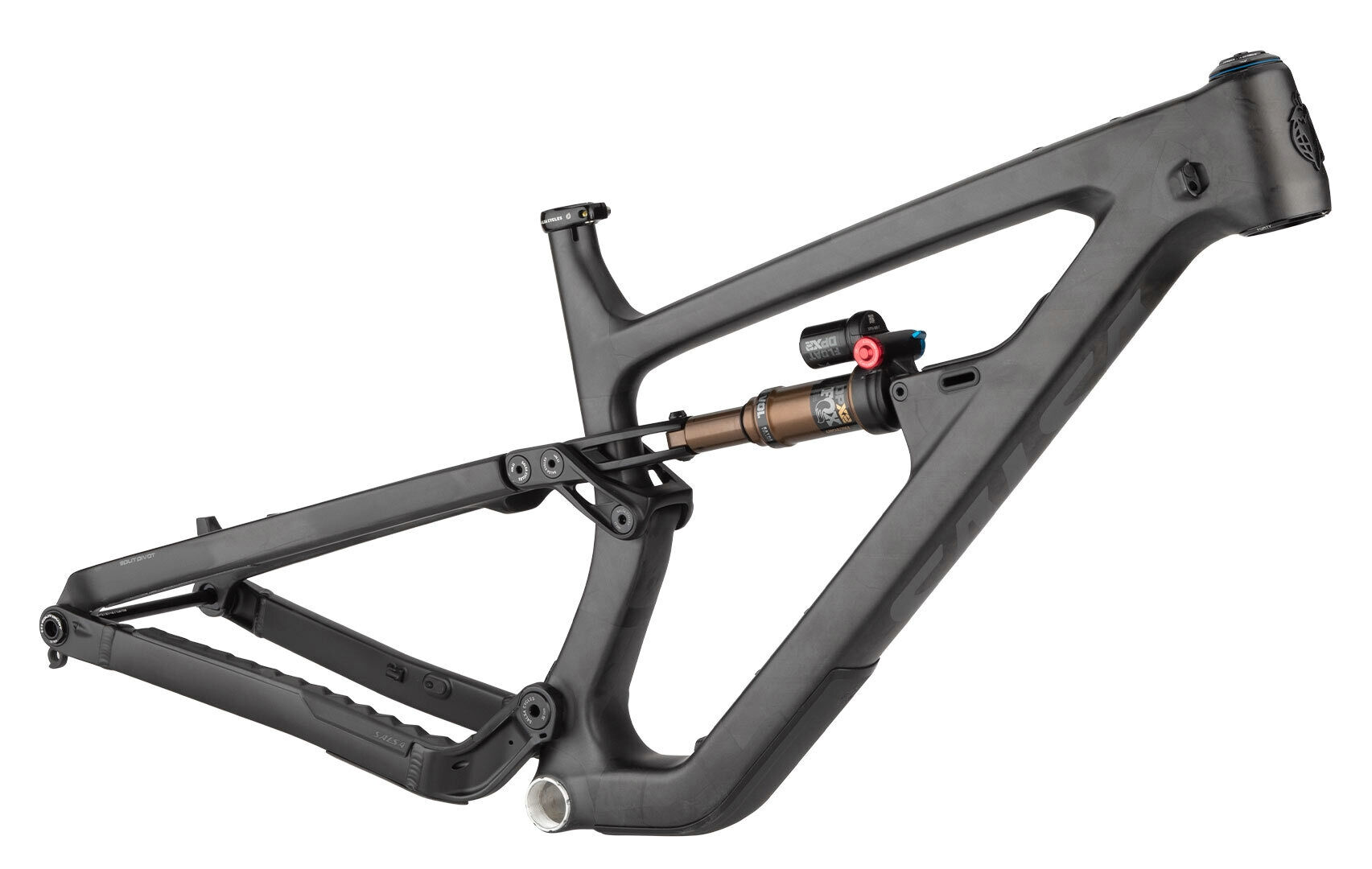 Salsa Blackthorn Carbon Frameset Carbon Raw Diamant